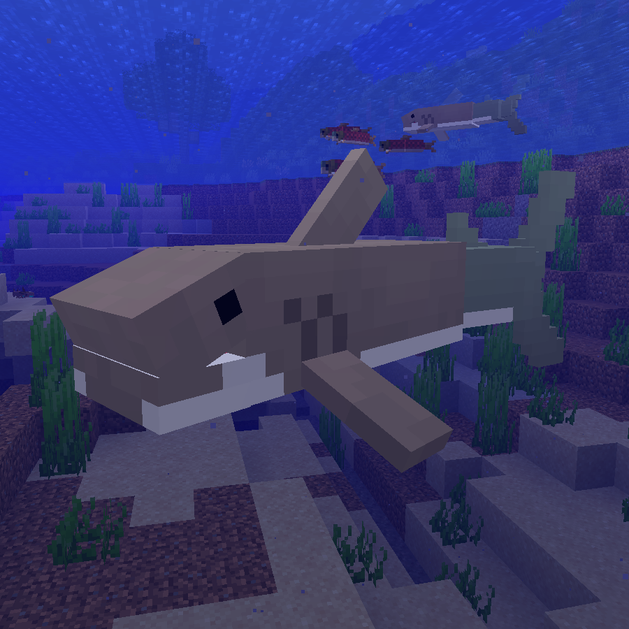 Blue Depths Bull Shark Photo