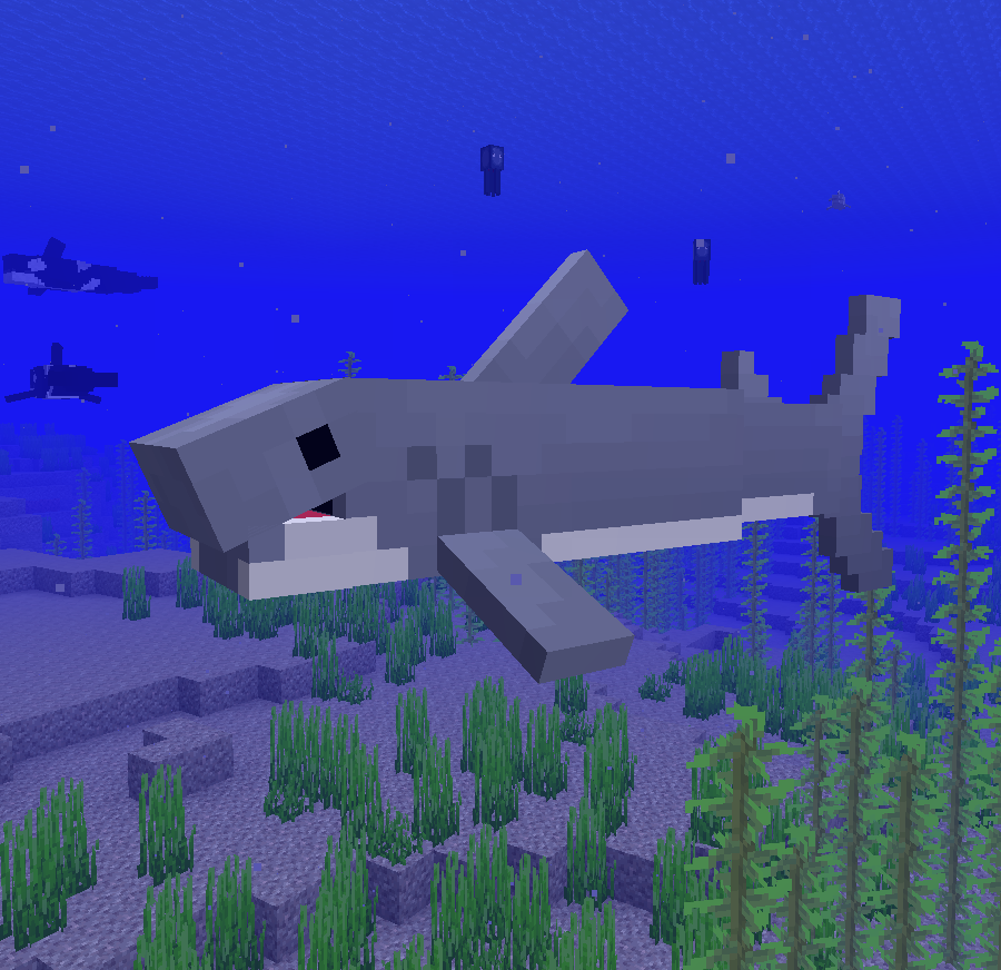 Blue Depths Great White Shark Photo