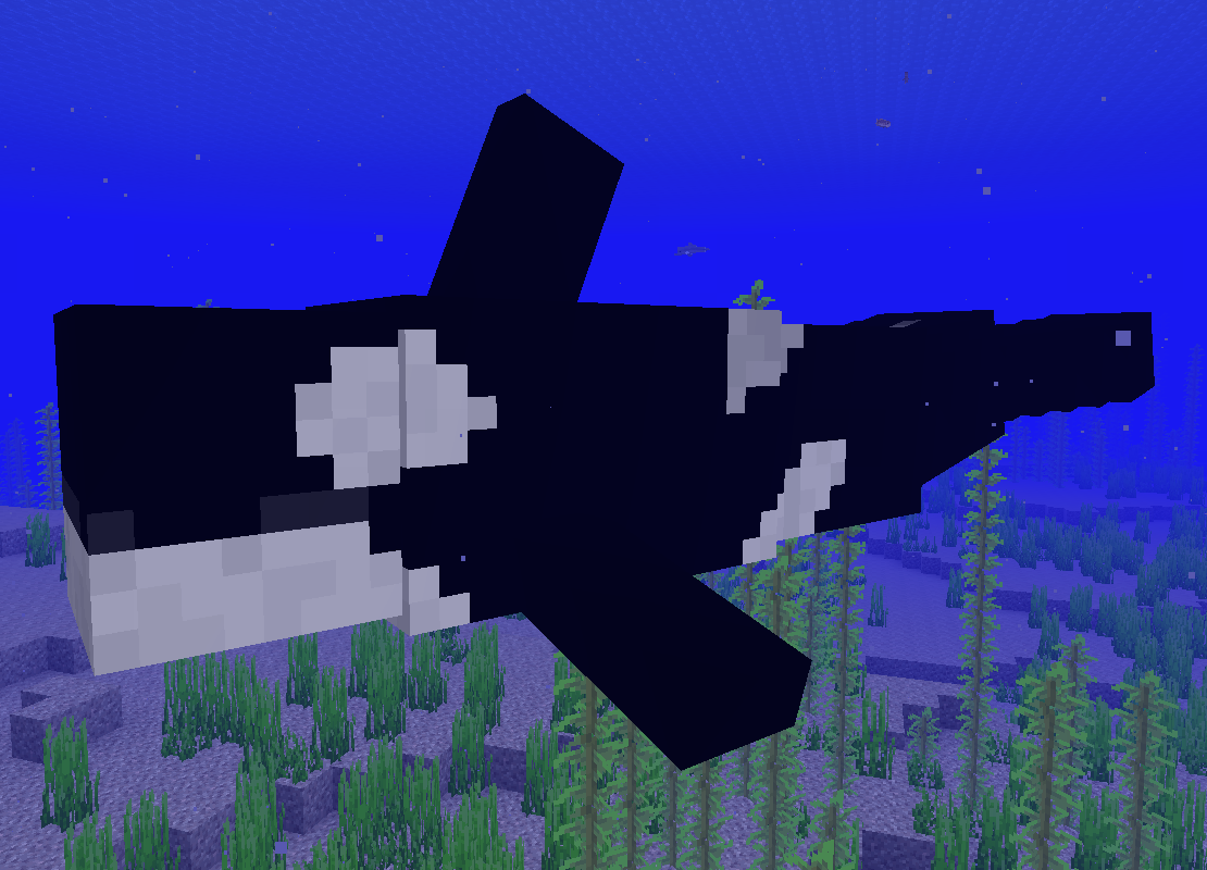 Blue Depths Orca Photo