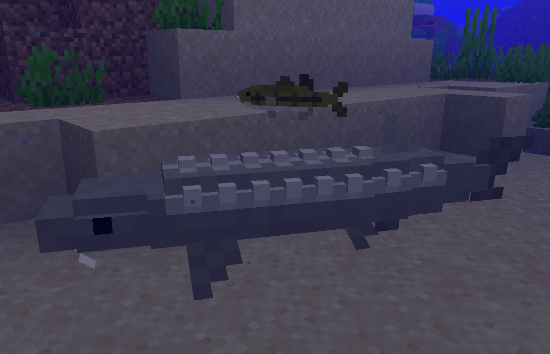 Blue Depths Sturgeon Photo