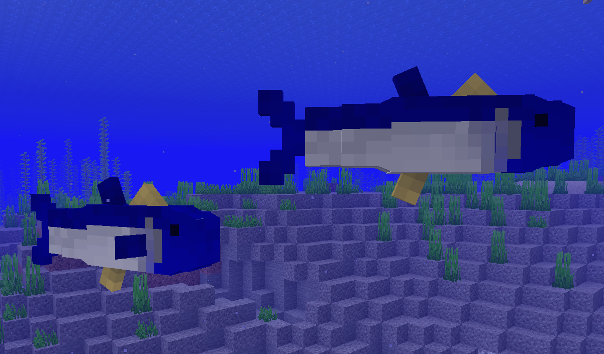 Blue Depths Tuna School Photo